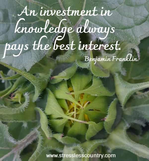an investment in knowledge always pays the best interest.