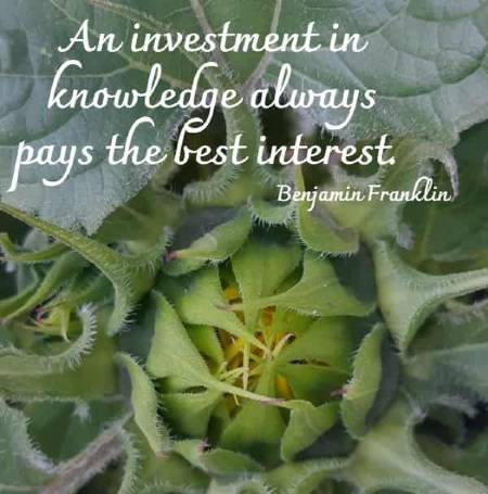 An investment in knowledge always pays the best interest. Benjamin Franklin