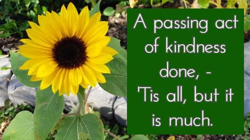 A passing act of kindness done, -'Tis all, but it is much