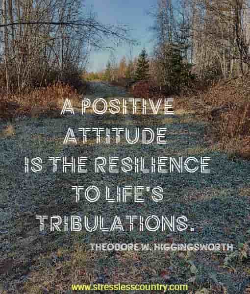 A positive attitude is the resilience to life's tribulations.