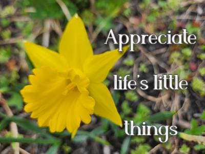Appreciate life's little things