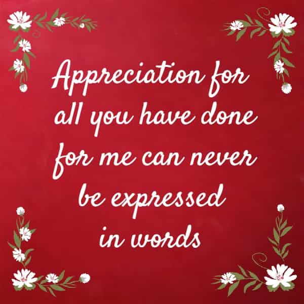 Appreciation for all you have done for me can never be expressed in words