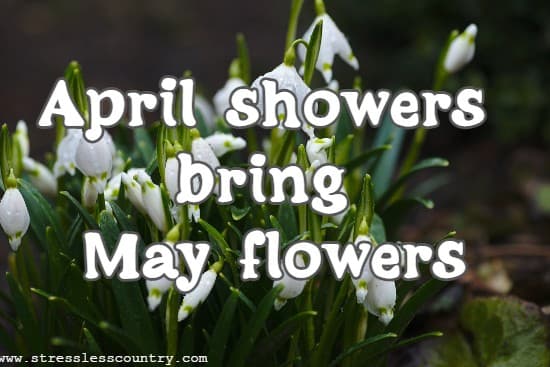 April showers bring May flowers