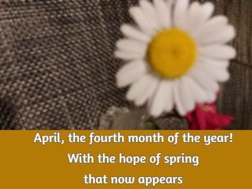 April, the fourth month of the year! With the hope of spring that now appears