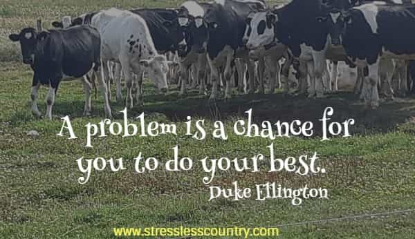 A problem is a chance for you to do your best.