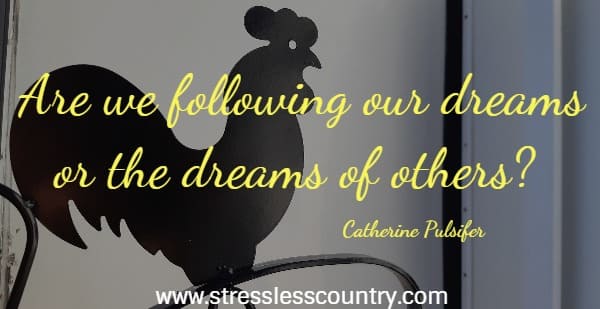   Are we following our dreams or the dreams of others?