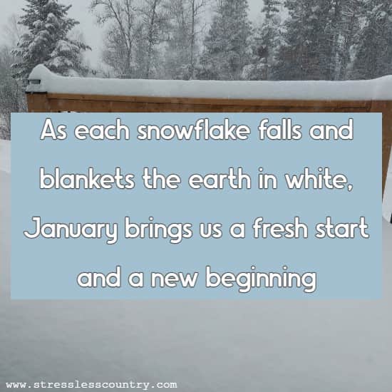  As each snowflake falls and blankets the earth in white, January brings us a fresh start and a new beginning.