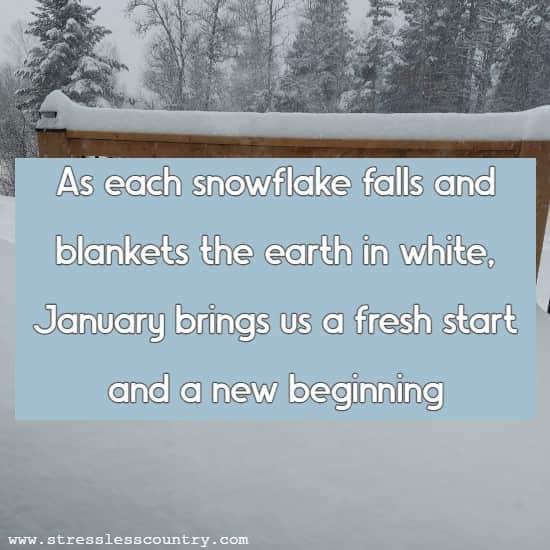 As each snowflake falls and blankets the earth in white, January brings us a fresh start and a new beginning.