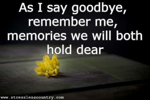 As I say goodbye, remember me, memories we will both hold dear