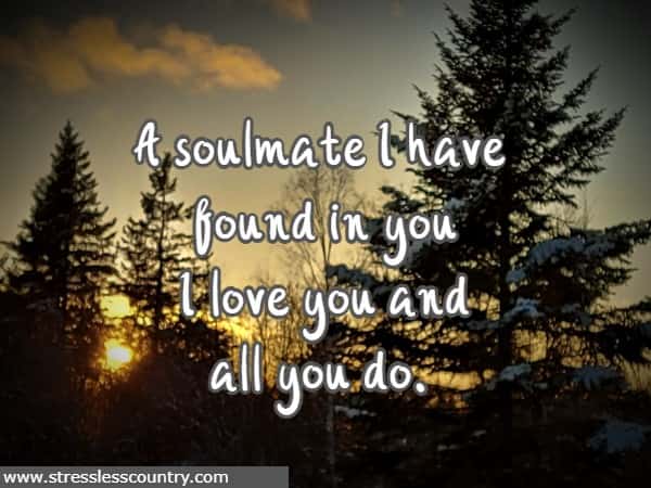 A soulmate I have found in you I love you and all you do.