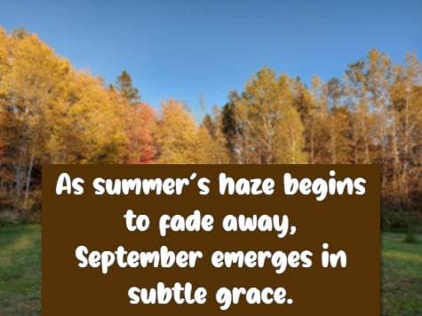 As summer's haze begins to fade away, September emerges in subtle grace.