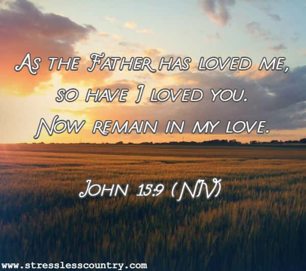 As the Father has loved me, so have I loved you. Now remain in my love.