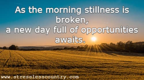 As the morning stillness is broken, a new day full of opportunities awaits.
