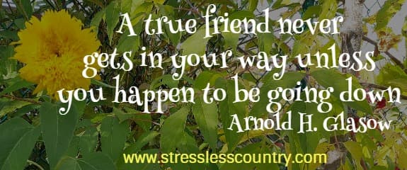 a true friend never gets in your way unless you happen to be going down