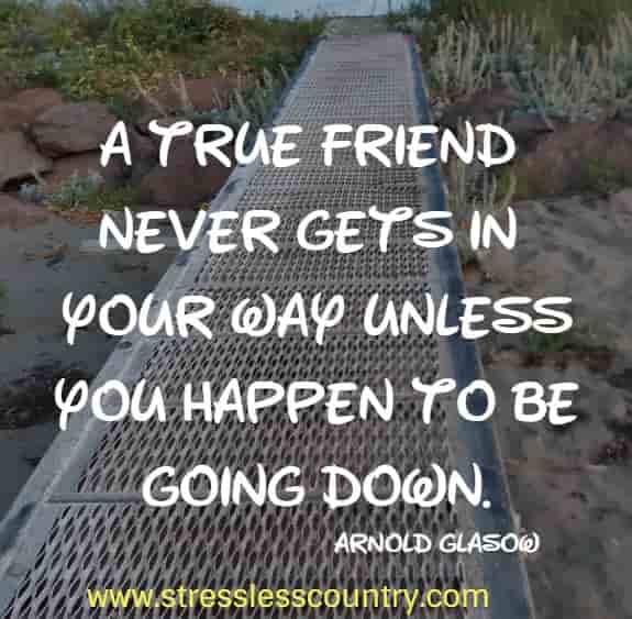 A true friend never gets in your way unless you happen to be going down.