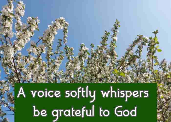 A voice softly whispers be grateful to God