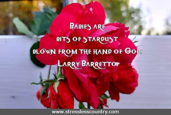 Babies are bits of stardust blown from the hand of God.