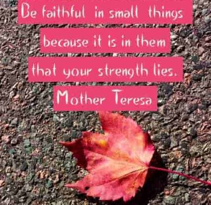 Be faithful in small things because it is in them that your strength lies. Mother Teresa