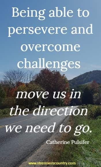 being able to persevere and overcome challenges move us in the direction we need to go