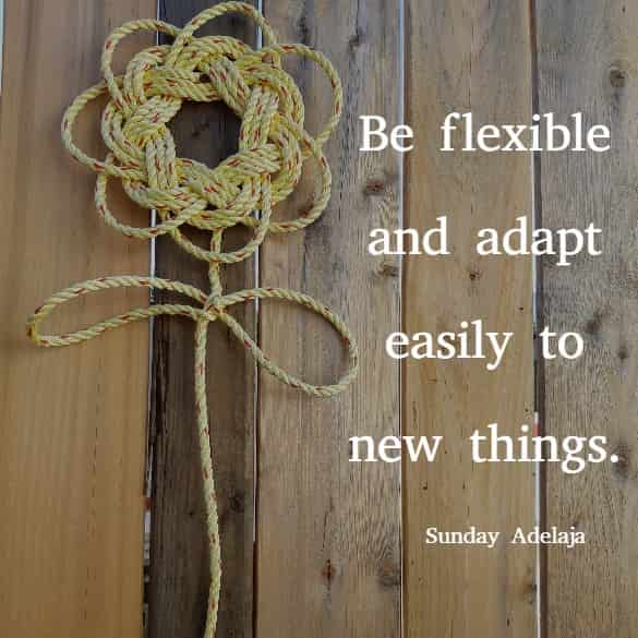 Be flexible and adapt easily to new things.