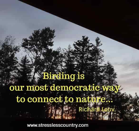 Birding is our most democratic way to connect to nature...