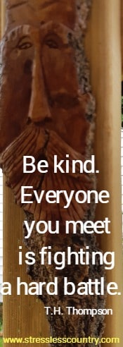 Be kind.  Everyone you meet is fighting a hard battle