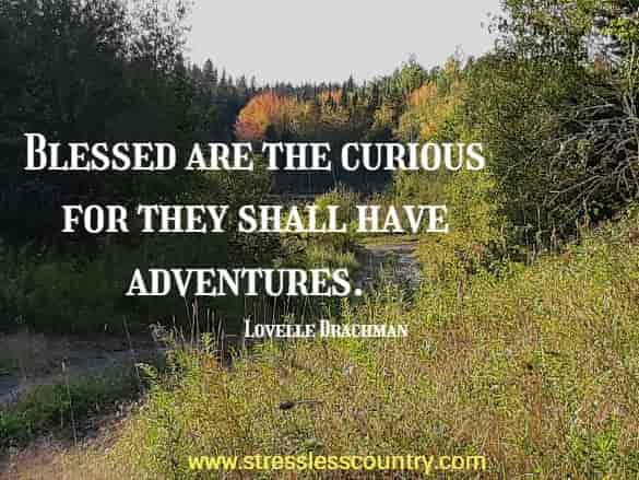 blessed are the curious for ...
