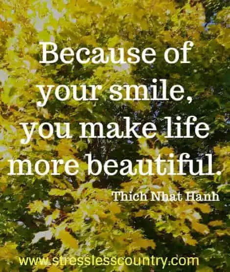 120 Smile Quotes Poem To Brighten Your Day
