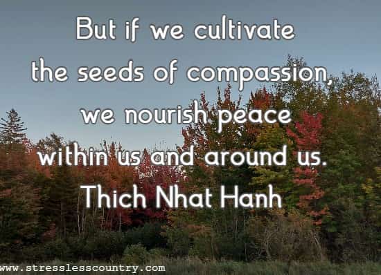 But if we cultivate the seeds of compassion, we nourish peace within us and around us.