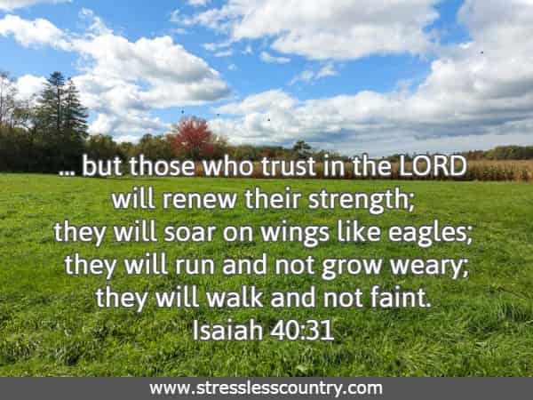 ... but those who trust in the LORD will renew their strength; they will soar on wings like eagles; they will run and not grow weary; they will walk and not faint.