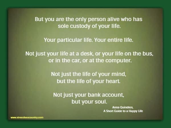 But you are the only person alive who has sole custody of your life. Your particular life. Your entire life.  Not just your life at a desk, or your life on the bus, or in the car, or at the computer. 
 Not just the life of your mind, but the life of your heart.  Not just your bank account, but your soul. Anna Quindlen, A Short Guide to a Happy Life
