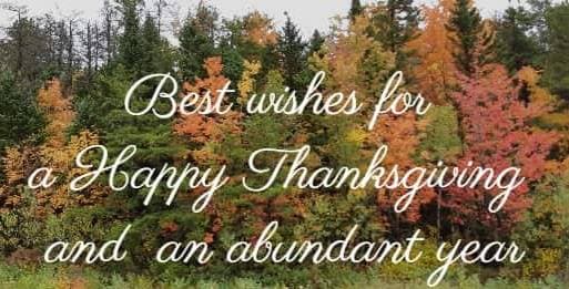 Best wishes for a Happy Thanksgiving and an abundant year