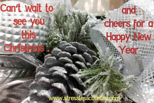 Can't wait to see you this Christmas and cheers for a Happy New Year.