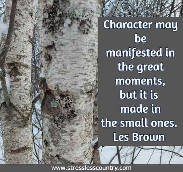 Character may be manifested in the great moments, but it is made in the small ones.