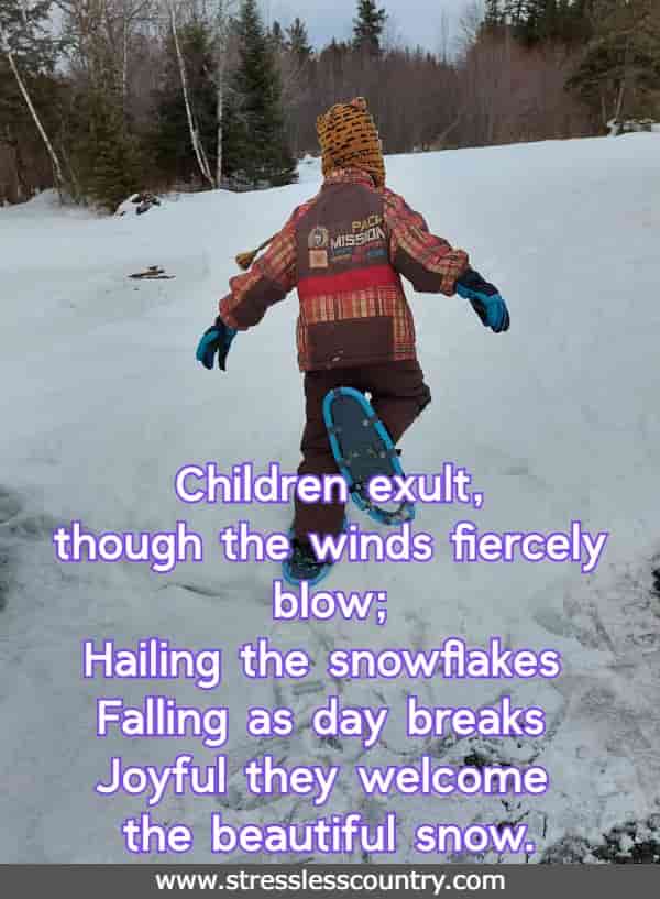 Children exult, though the winds fiercely blow; Hailing the snowflakes  Falling as day breaks  Joyful they welcome the beautiful snow.