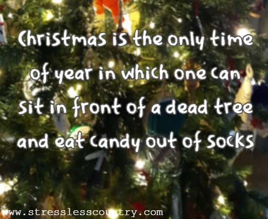 Christmas is the only time of year in which one can sit in front of a dead tree and eat candy out of socks