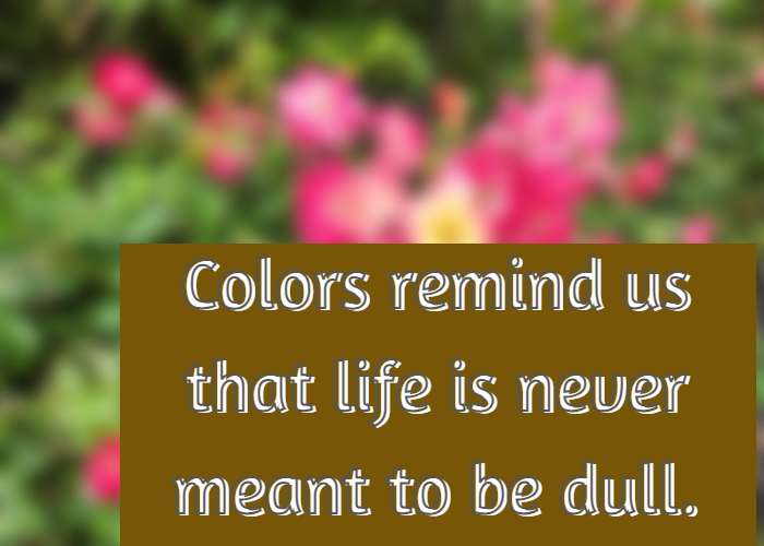 Colors remind us that life is never meant to be dull.
