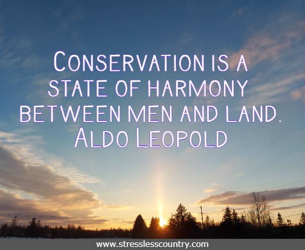 Conservation is a state of harmony between men and land.