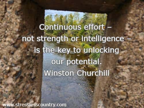 Continuous effort – not strength or intelligence – is the key to unlocking our potential.