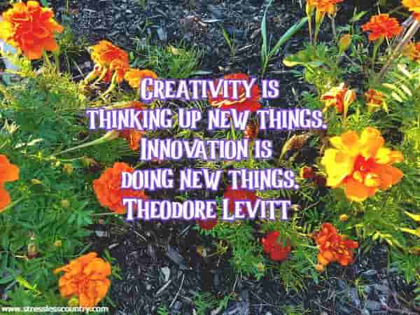 Creativity is thinking up new things. Innovation is doing new things.
