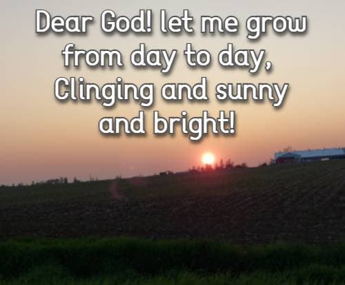 Dear God! let me grow from day to day, Clinging and sunny and bright!