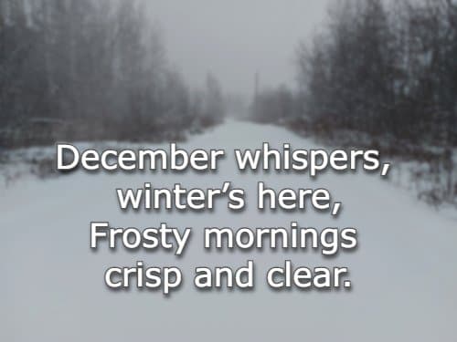 December whispers, winter’s here, Frosty mornings crisp and clear.