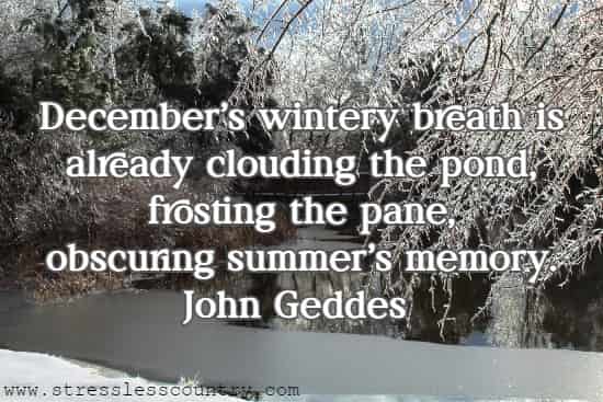 December's wintery breath is already clouding the pond, frosting the pane, obscuring summer's memory.