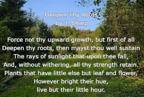 Deepen Thy Roots by J. Sharp Force not thy upward growth, but first of all Deepen thy roots, then mayst thou well sustain The rays of sunlight that upon thee fall,
     And, without withering, all thy strength retain. Plants that have little else but leaf and flower, However bright their hue, live but their little hour.