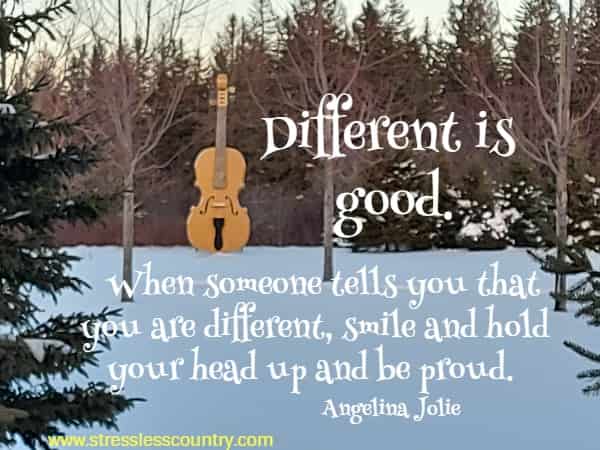 Different is good.  When someone tells you that you are different, smile and hold your head up and be proud