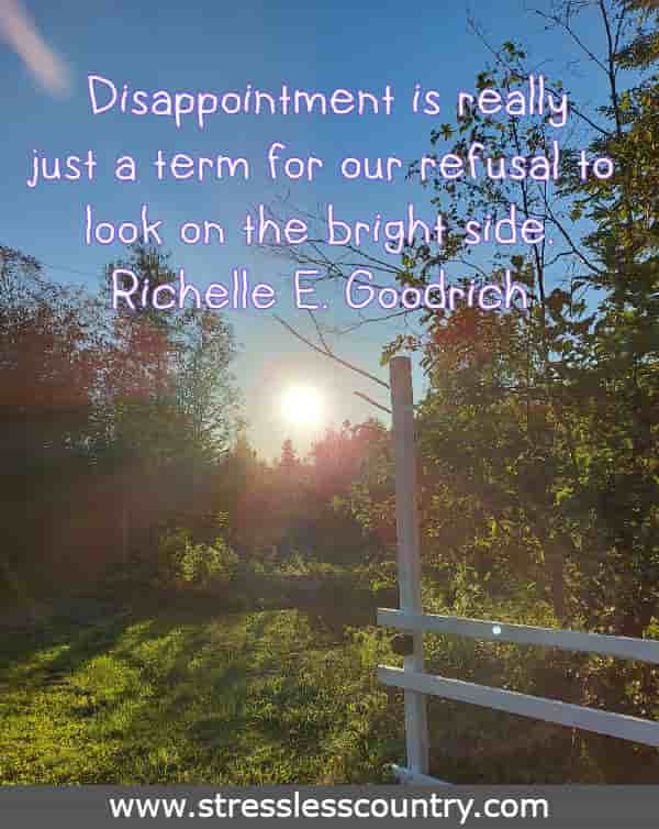 Disappointment is really just a term for our refusal to look on the bright side.