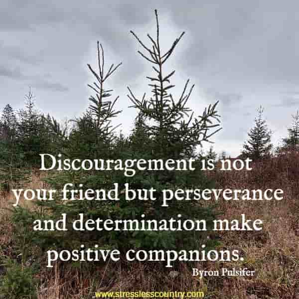 	Discouragement is not your friend but perseverance and determination make positive companions.