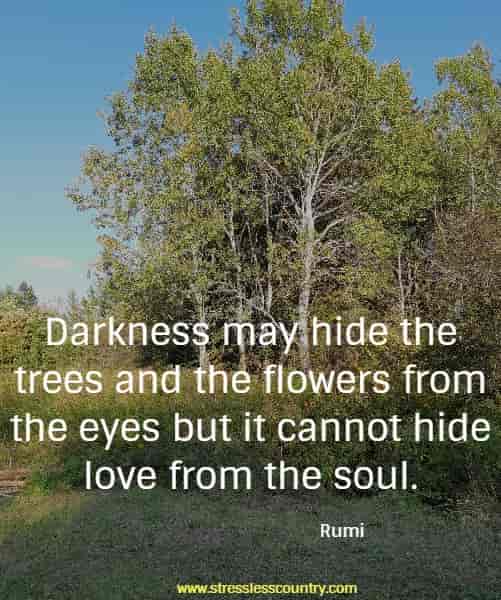 Darkness may hide the trees and the flowers from the eyes but it cannot hide love from the soul.