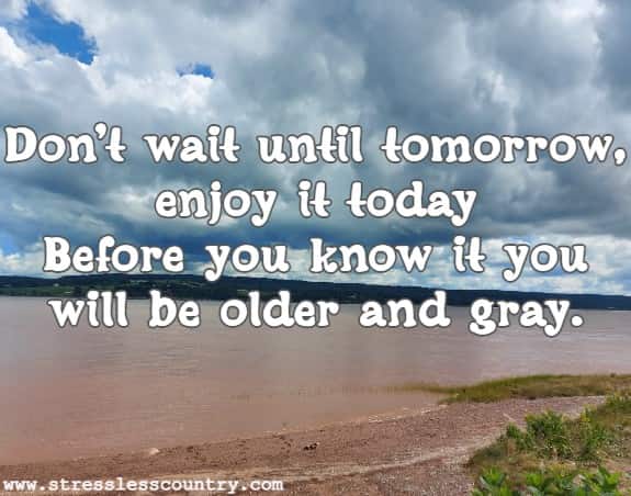 Don't wait until tomorrow, enjoy it today Before you know it you will be older and gray.
