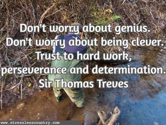 Don't worry about genius. Don't worry about being clever. Trust to hard work, perseverance and determination.